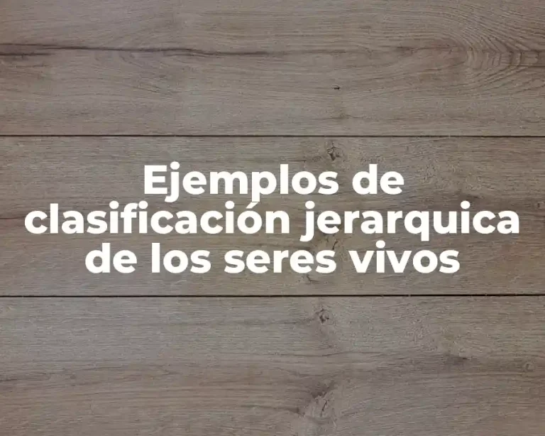 Ejemplos de clasificación jerarquica de los seres vivos