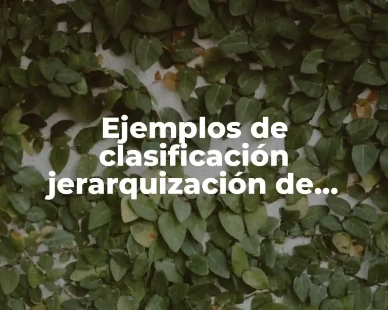 Ejemplos de clasificación jerarquización de textos racionales