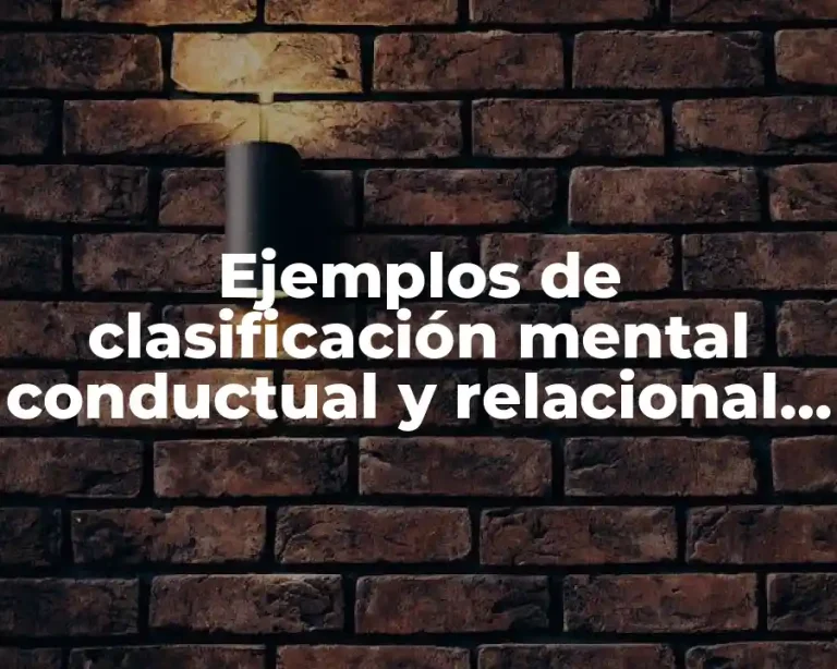 Ejemplos de clasificación mental conductual y relacional holiday
