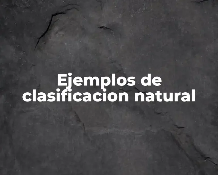Ejemplos de clasificacion natural