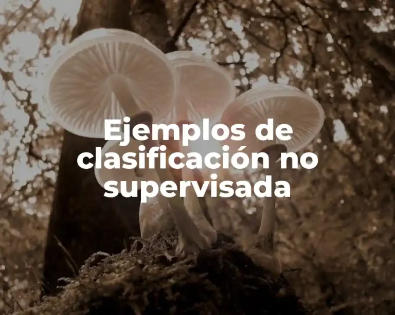 Ejemplos de clasificación no supervisada