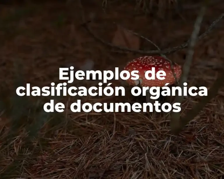 Ejemplos de clasificación orgánica de documentos