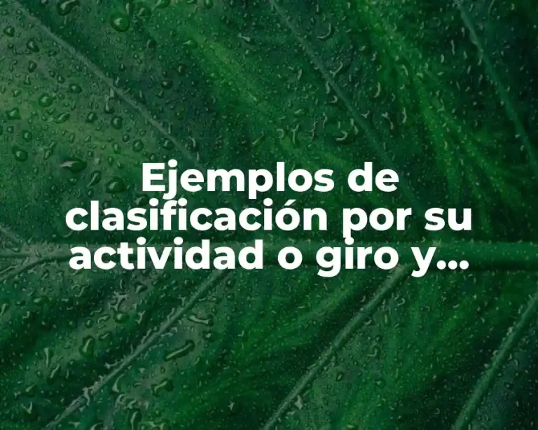 Ejemplos de clasificación por su actividad o giro y Significado