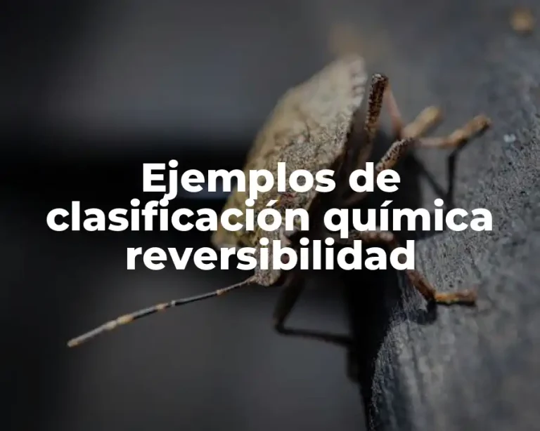 Ejemplos de clasificación química reversibilidad