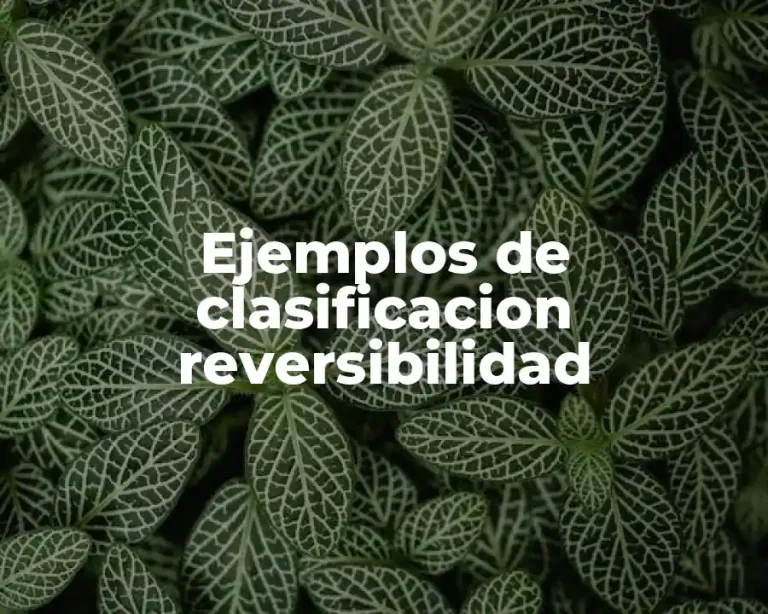 Ejemplos de clasificacion reversibilidad