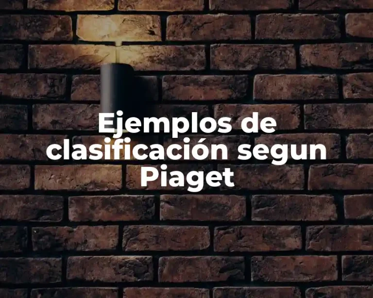 Ejemplos de clasificación segun Piaget