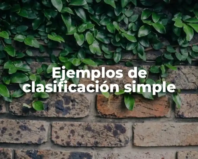 Ejemplos de clasificación simple