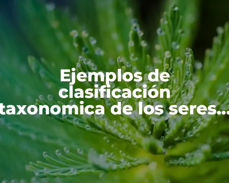 Ejemplos de clasificación taxonomica de los seres vivos