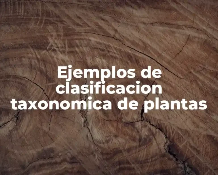 Ejemplos de clasificacion taxonomica de plantas