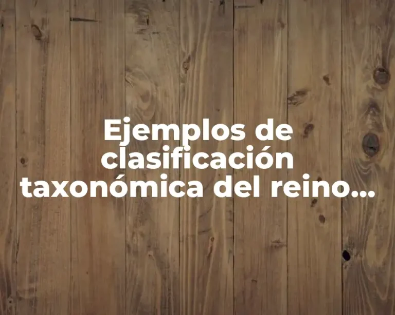 Ejemplos de clasificación taxonómica del reino vegetal