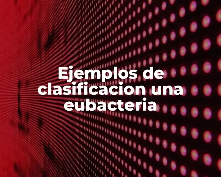 Ejemplos de clasificacion una eubacteria