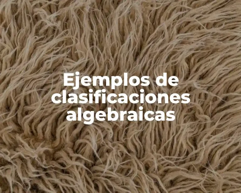 Ejemplos de clasificaciones algebraicas