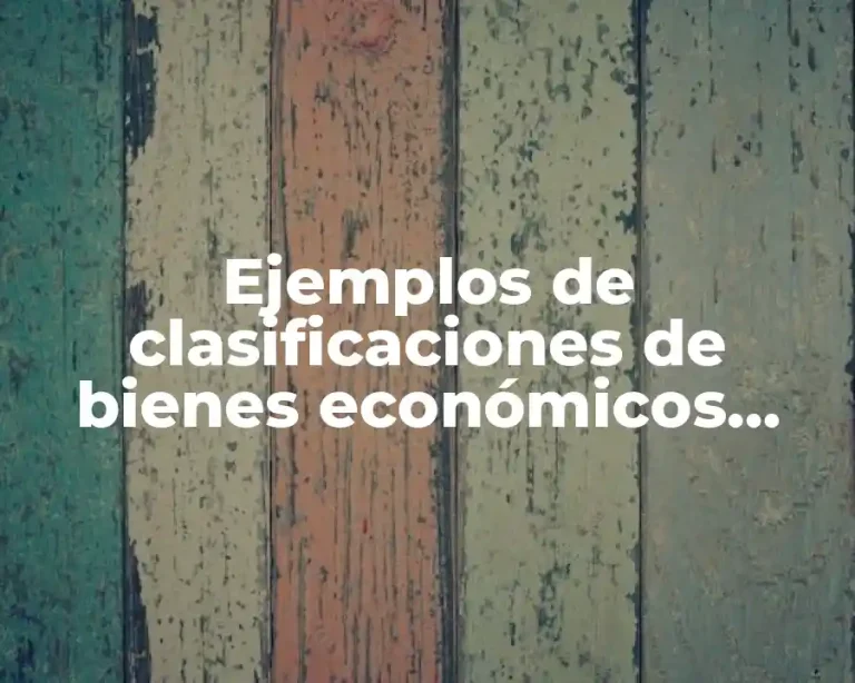 Ejemplos de clasificaciones de bienes económicos finales