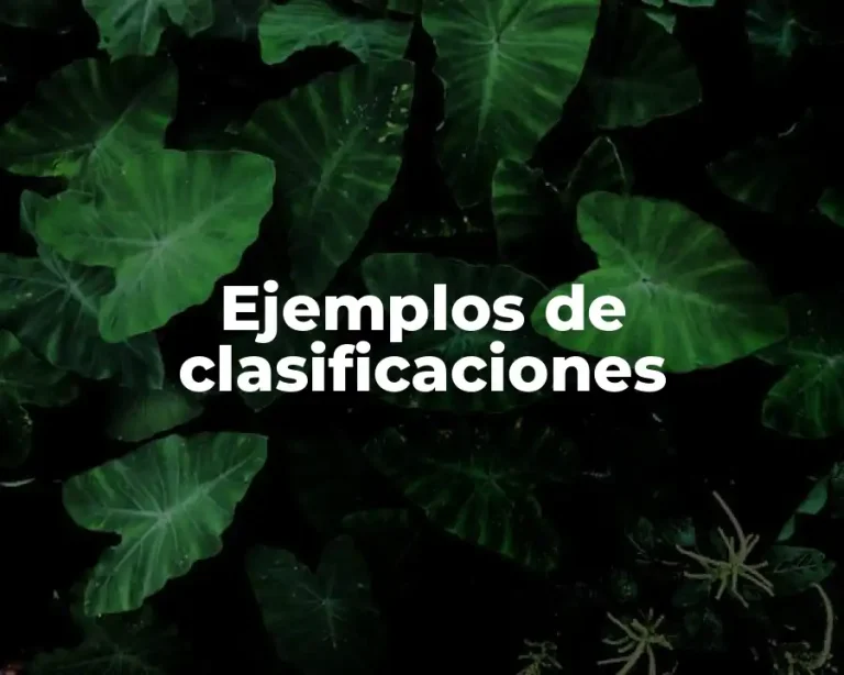 Ejemplos de clasificaciones