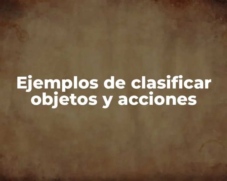 Ejemplos de clasificar objetos y acciones