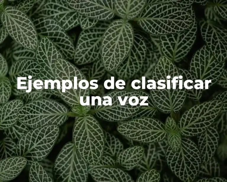 Ejemplos de clasificar una voz