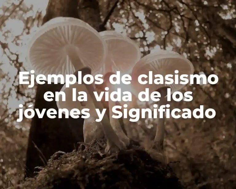 Ejemplos de clasismo en la vida de los jóvenes y Significado