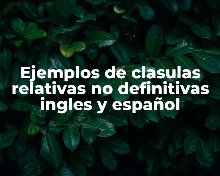 Ejemplos de clasulas relativas no definitivas ingles y español