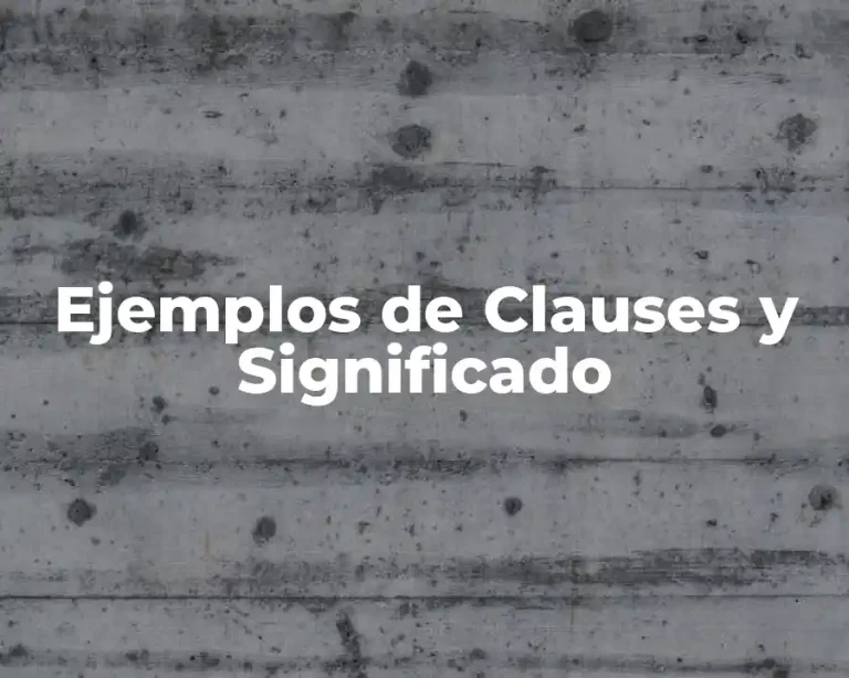 Ejemplos de Clauses y Significado