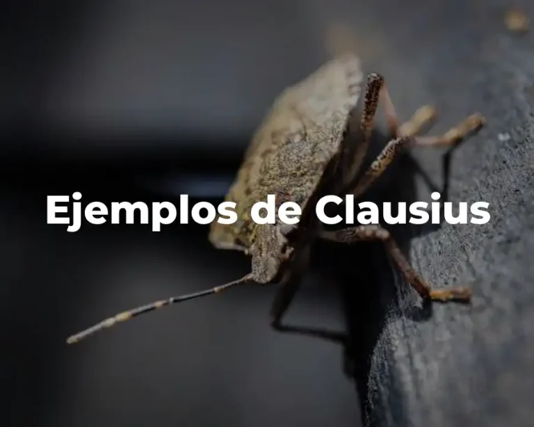 Ejemplos de Clausius