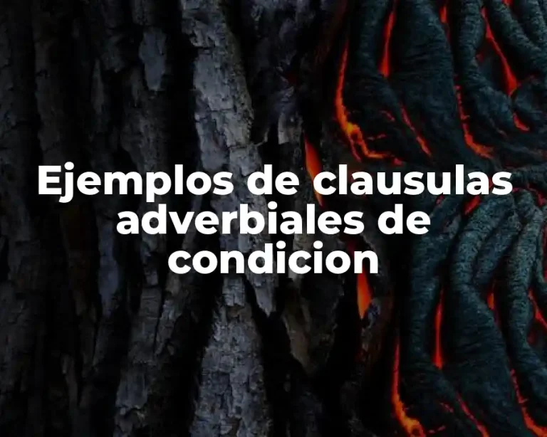 Ejemplos de clausulas adverbiales de condicion