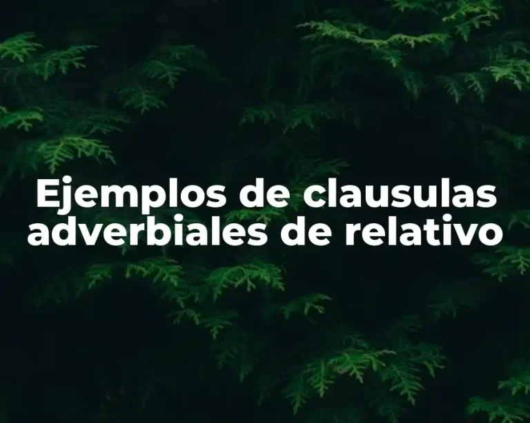 Ejemplos de clausulas adverbiales de relativo
