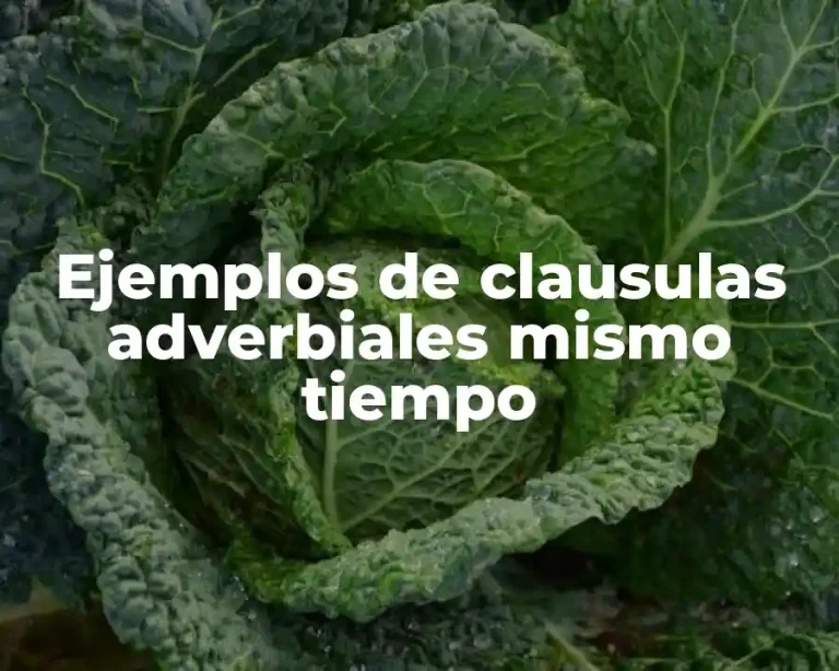Ejemplos de clausulas adverbiales mismo tiempo