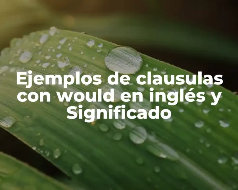 Ejemplos de clausulas con would en inglés y Significado
