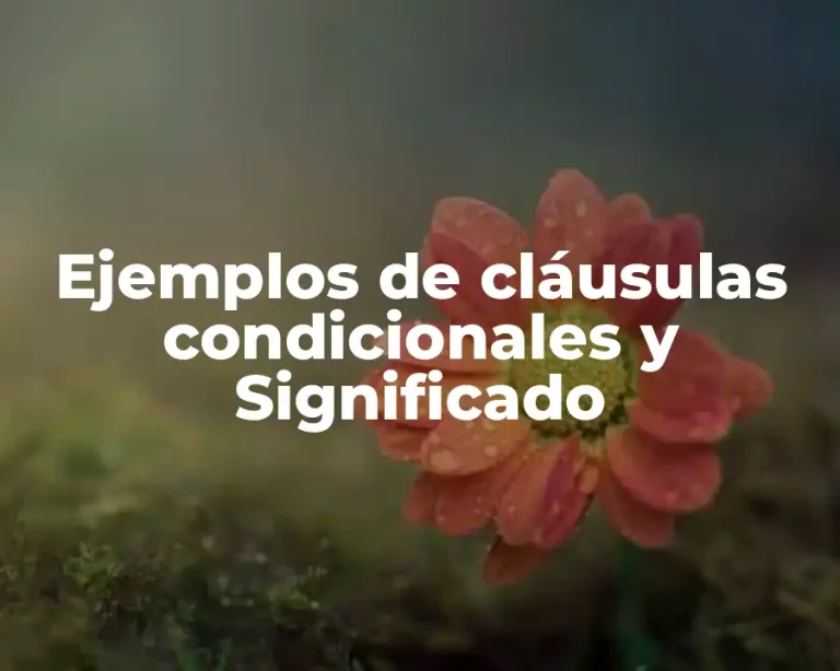 Ejemplos de cláusulas condicionales y Significado