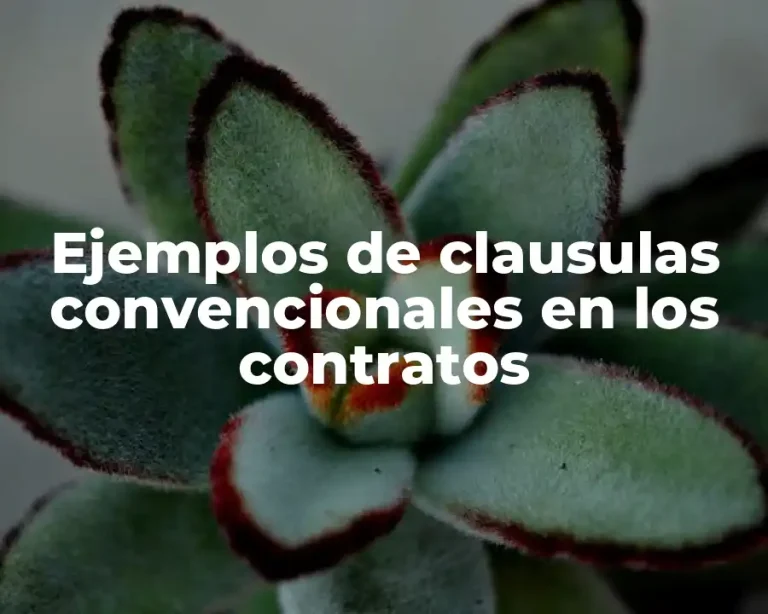 Ejemplos de clausulas convencionales en los contratos