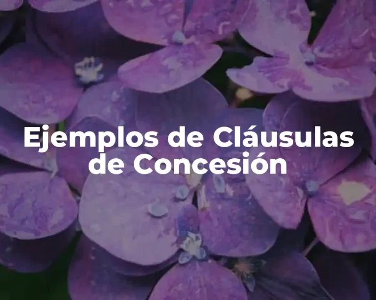 Ejemplos de Cláusulas de Concesión
