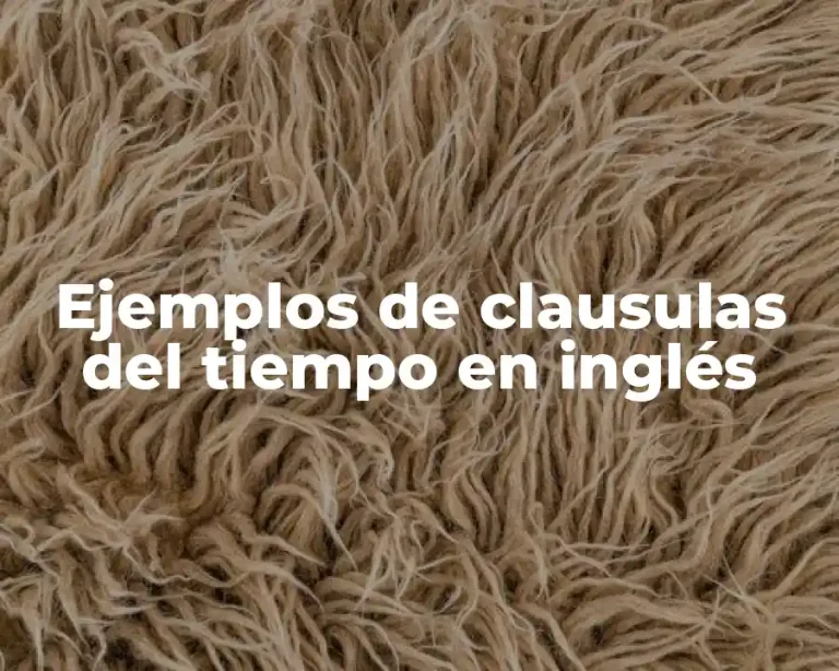 Ejemplos de clausulas del tiempo en inglés
