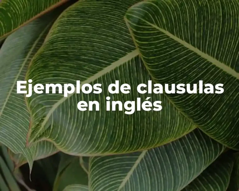 Ejemplos de clausulas en inglés