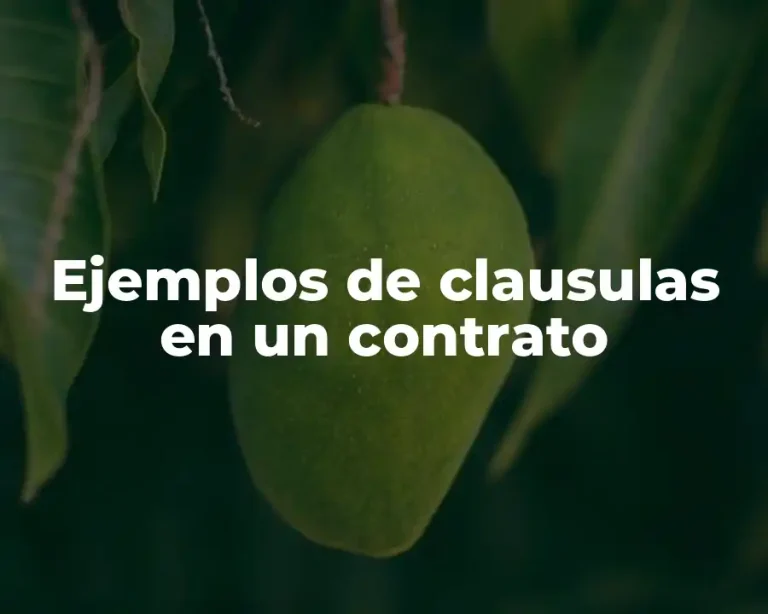 Ejemplos de clausulas en un contrato