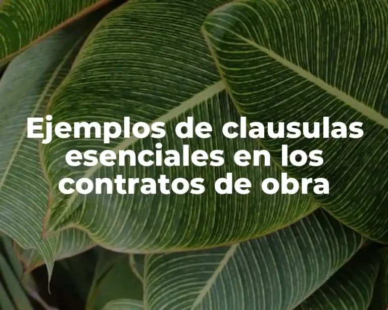 Ejemplos de clausulas esenciales en los contratos de obra