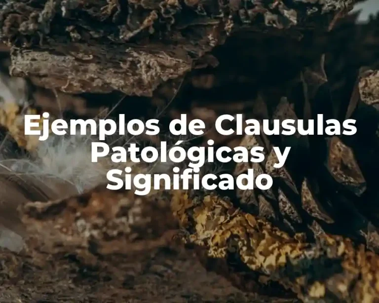 Ejemplos de Clausulas Patológicas y Significado