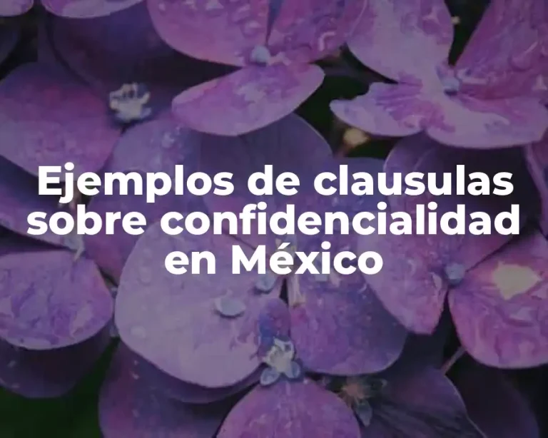Ejemplos de clausulas sobre confidencialidad en México