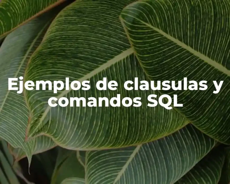 Ejemplos de clausulas y comandos SQL