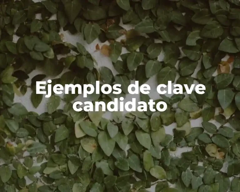Ejemplos de clave candidato