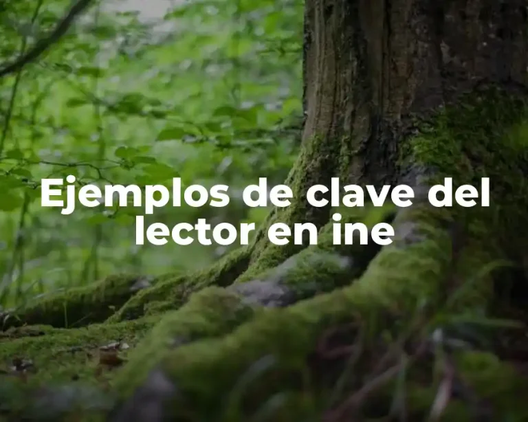 Ejemplos de clave del lector en ine