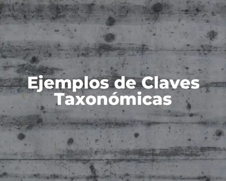 Ejemplos de Claves Taxonómicas