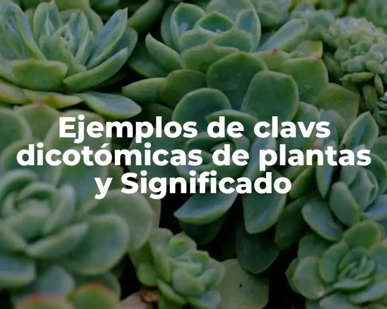 Ejemplos de clavs dicotómicas de plantas y Significado