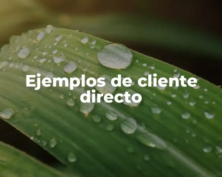 Ejemplos de cliente directo