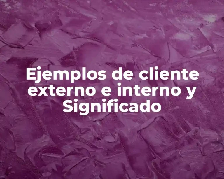 Ejemplos de cliente externo e interno y Significado