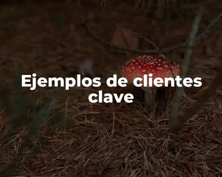 Ejemplos de clientes clave