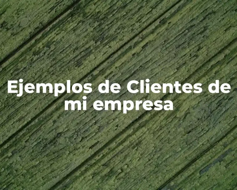 Ejemplos de Clientes de mi empresa