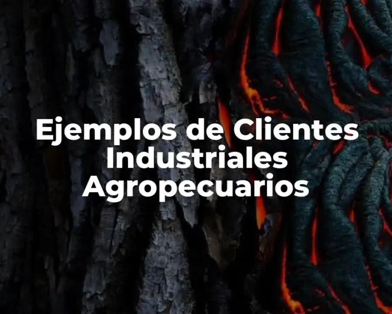 Ejemplos de Clientes Industriales Agropecuarios