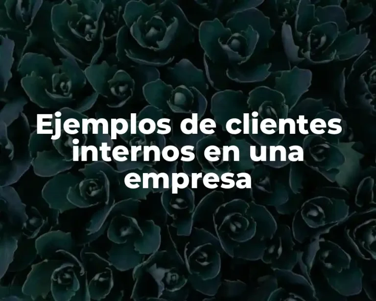 Ejemplos de clientes internos en una empresa