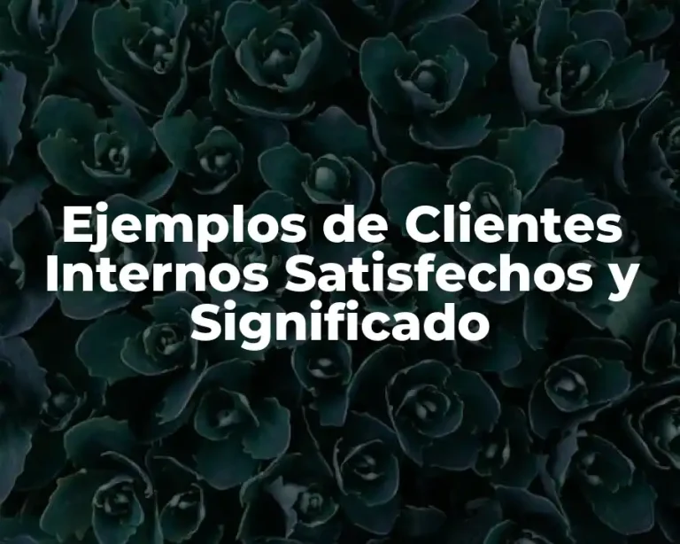 Ejemplos de Clientes Internos Satisfechos y Significado