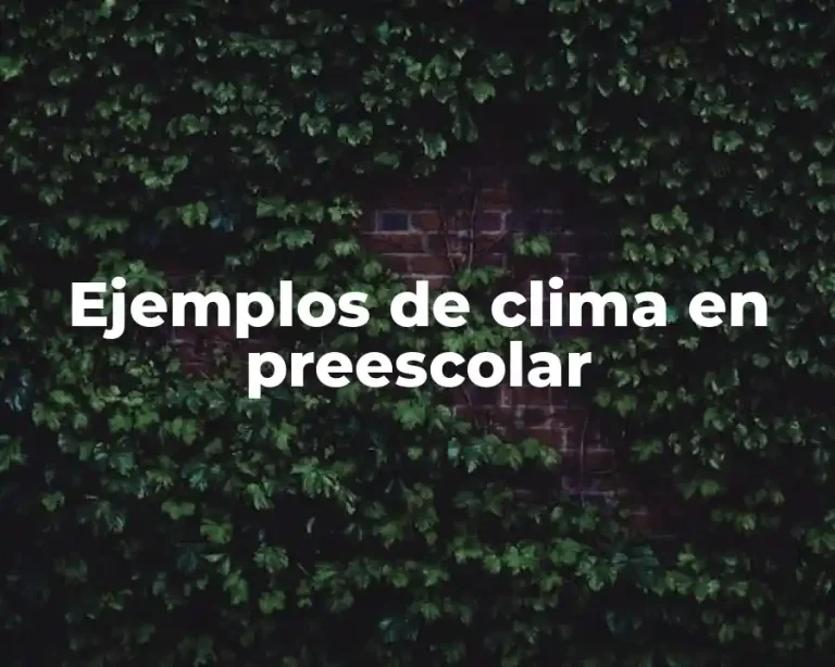 Ejemplos de clima en preescolar